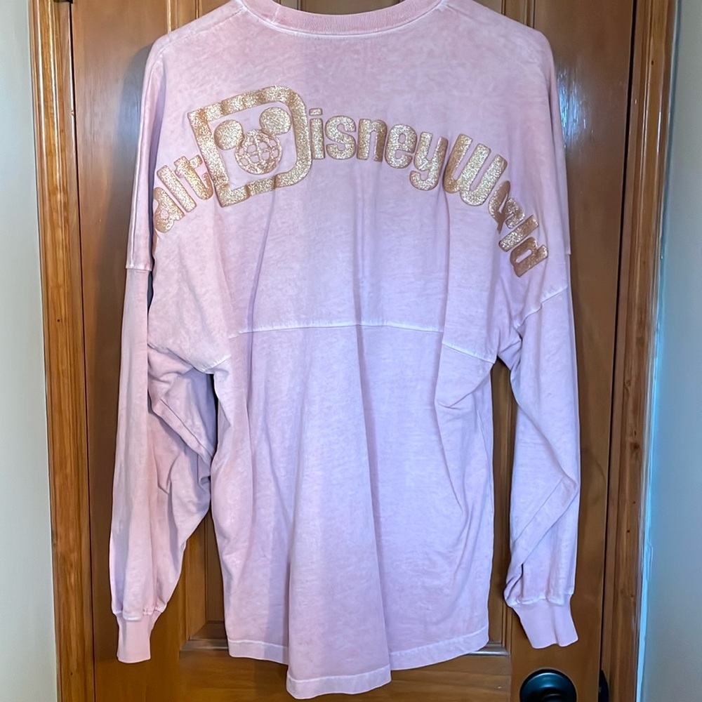 Walt Disney World Spirit Jersey